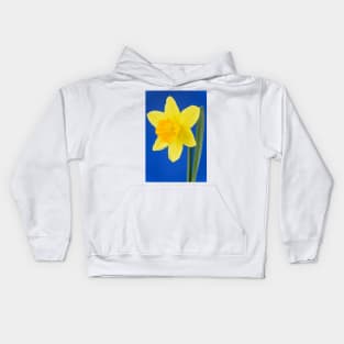 Narcissus  &#39;Armada&#39;   Division 2 Large-cupped Daffodil Kids Hoodie
